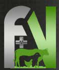 FAHN Logo